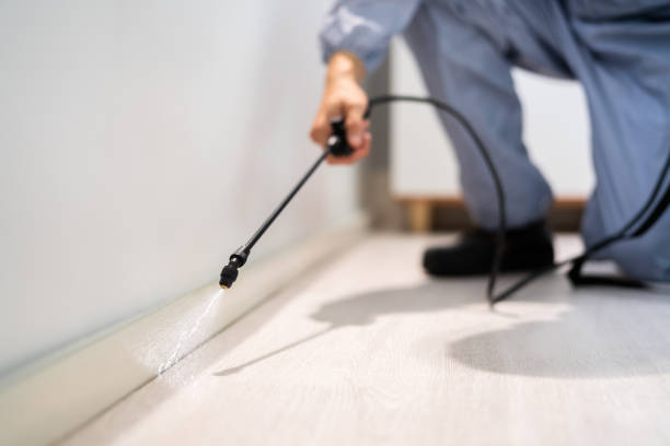 Licensed Pest Control service in Newell, WV - Show Me Pest Control