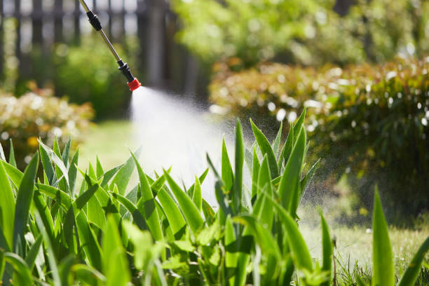 Tamper-Resistant Bait Stations for Rodents in Newell