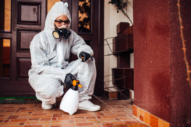 Attic and Crawl Space Rodent Treatment in Newell
