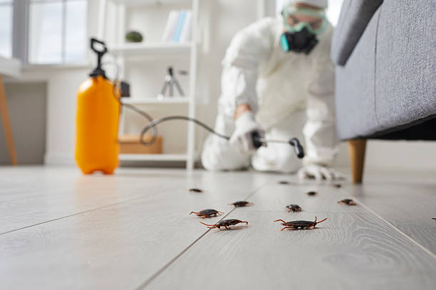 Commercial Rodent Management in Newell